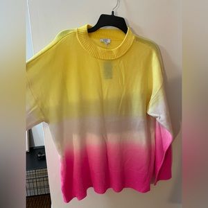 NWT Tri-color Sweater